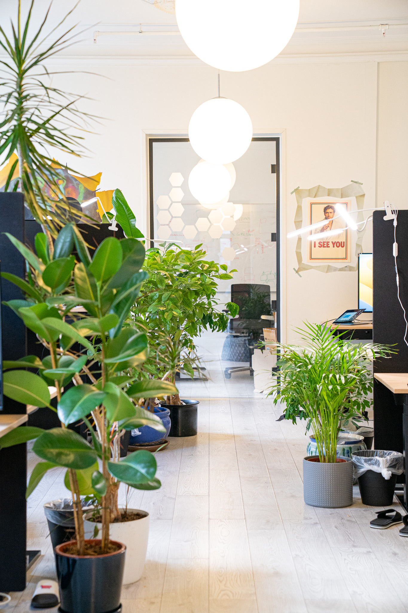 Kontorlandskapet hos MEWB med planter og arbeidsplasser